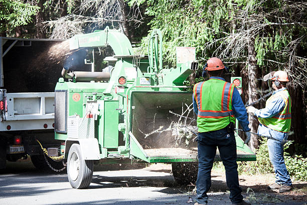 Best Emergency Tree Removal  in Flower Hill, MD